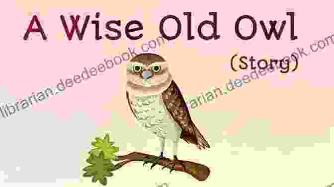 Anya Encounters A Wise Old Owl In The Endless Forest. The Endless Forest: A Novel (Wilderness 6)