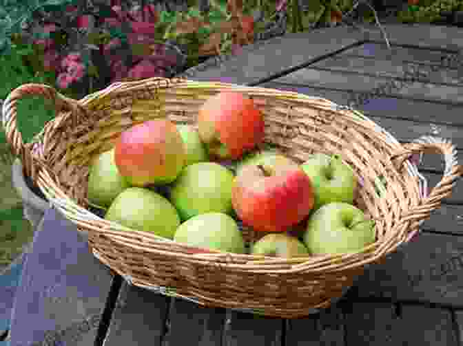 Bar Model Showing 5 Apples In A Basket And 3 Apples In A Bowl, With A Total Of 8 Apples. KS1 Maths 10 Minute Tests: Problem Solving Year 2 (CGP KS1 Maths)