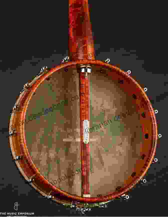 Cross Section Of A Banjo's Resonant Body, Highlighting The Rim, Head, And String Vibration Dynamics Of Banjo Sound Alan Hirsh