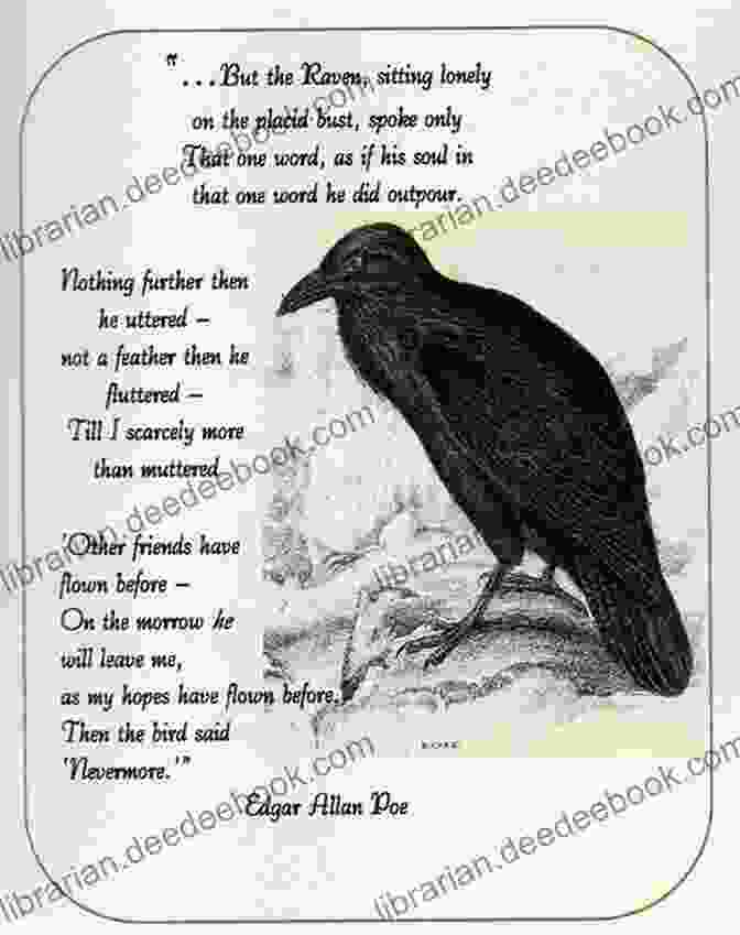 Edgar Allan Poe's 'The Raven' Study Guide For Edgar Allan Poe S The Raven (Course Hero Study Guides)