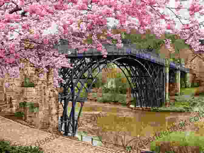 Panoramic View Of The Bridge Of Flowers In Full Bloom The Bridge Of Flowers In Shelburne Falls