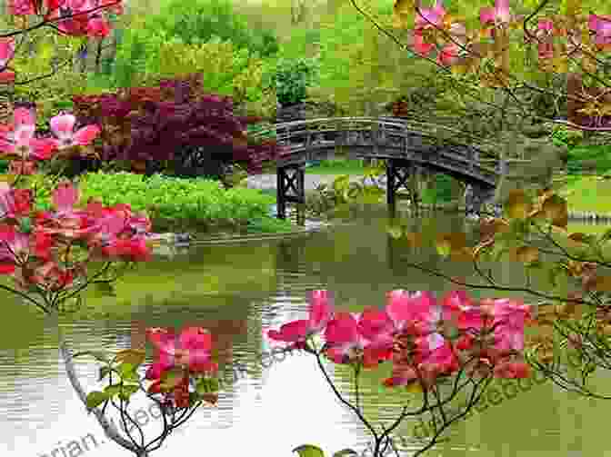 Photographer Capturing The Beauty Of The Bridge Of Flowers The Bridge Of Flowers In Shelburne Falls