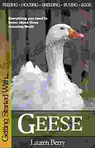 Getting Started With Geese (Getting Started With 4)