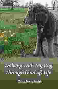 Walking With My Dog Through (End Of) Life